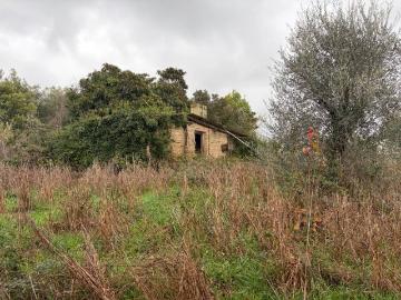 Casa indipendente in vendita a Roma RM