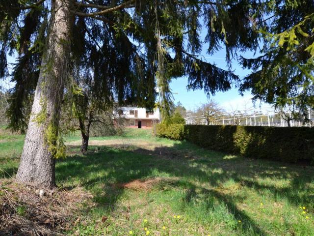 Casa indipendente in vendita a Romeno TN
