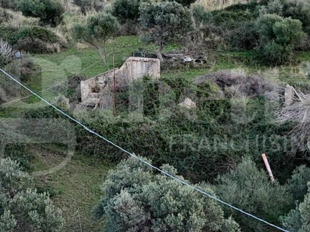 Casa indipendente in vendita a Rometta