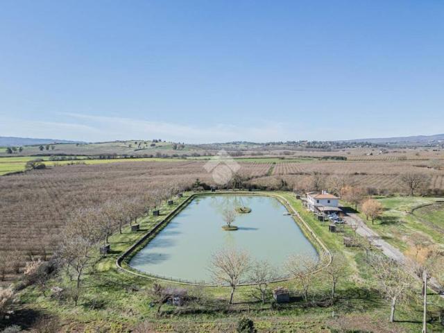 Casa indipendente in vendita a Ronciglione VT