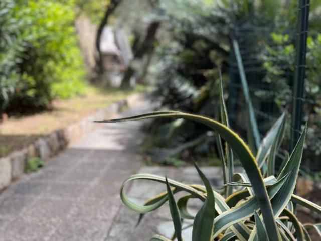 Casa indipendente in vendita a Recco GE