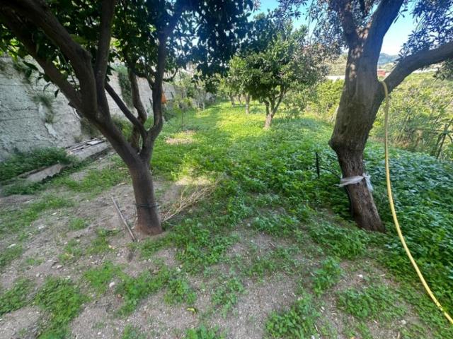 Casa indipendente in vendita a Reggio di Calabria