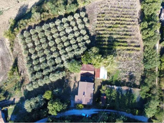 Casa indipendente in vendita a Todi