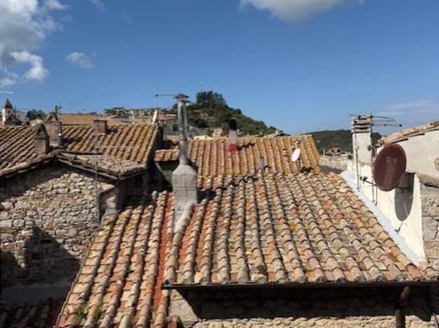 Casa indipendente in vendita a Tolfa RM