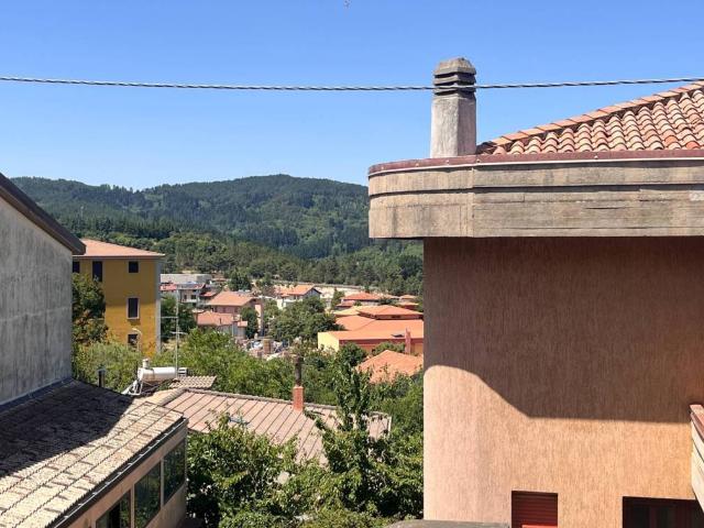 Casa indipendente in vendita a Tonara NU