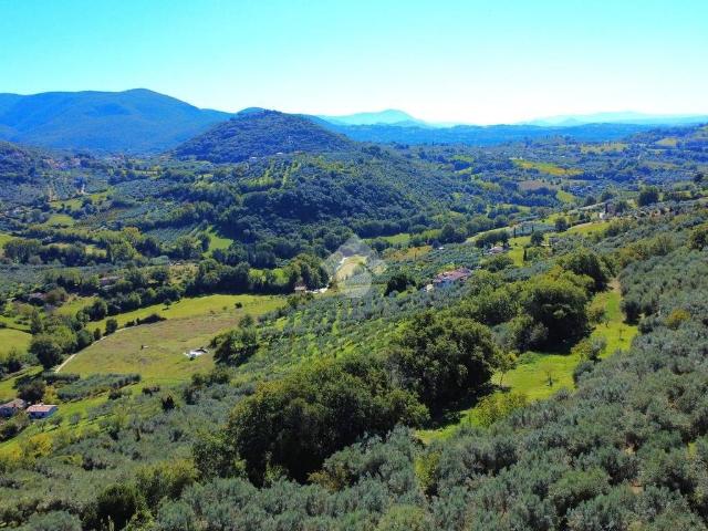Casa indipendente in vendita a Torri in Sabina RI