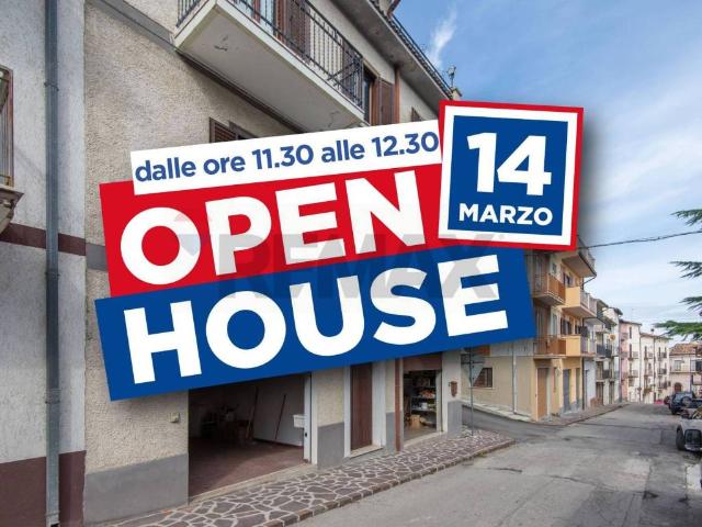 Casa indipendente in vendita a Torricella Peligna CH