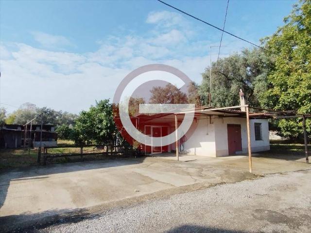 Casa indipendente in vendita a Taurianova RC