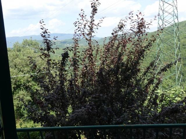 Casa indipendente in vendita a Talla AR