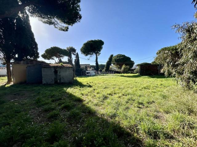 Casa indipendente in vendita a Tarquinia