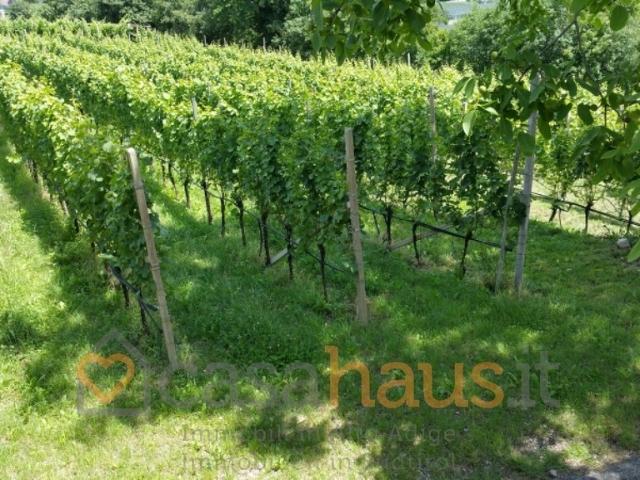 CASA INDIPENDENTE in VENDITA a TERMENO SULLA STRADA DEL VINO di 5 vani