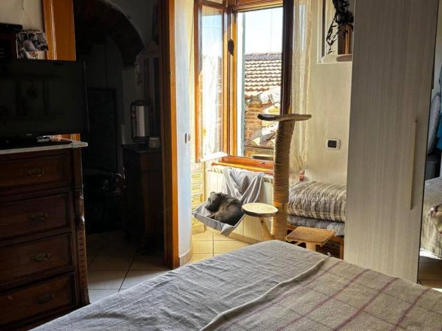 Casa indipendente in vendita a Terricciola PI
