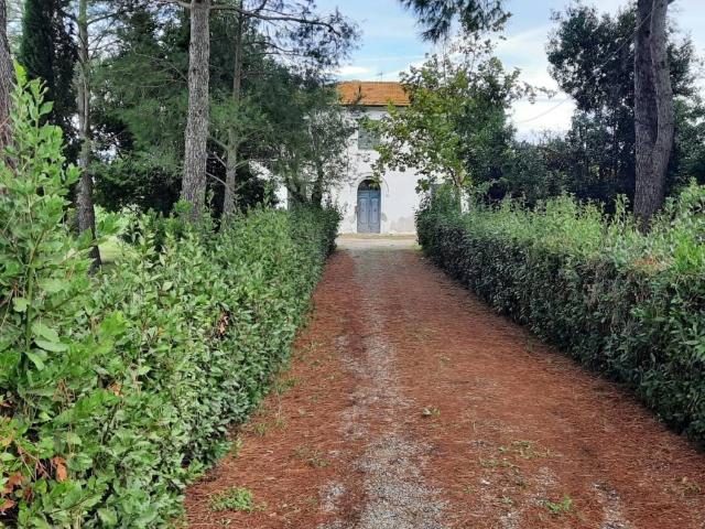 Casa indipendente in vendita a Terricciola PI