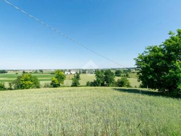 Casa indipendente in vendita a Terruggia AL