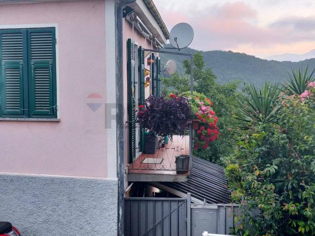 Casa Indipendente in vendita a Testico