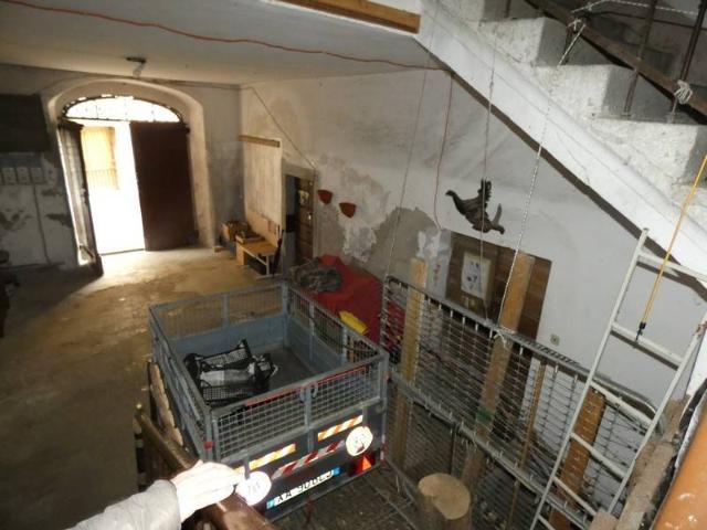 Casa indipendente in vendita a Tione di Trento TN