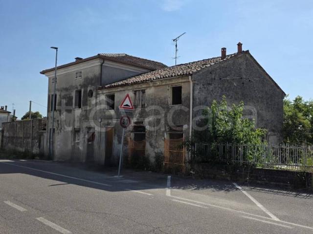 Casa indipendente in vendita a Trecenta