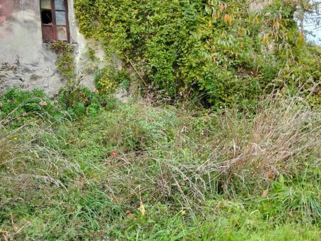 Casa indipendente in vendita a Tresana MS