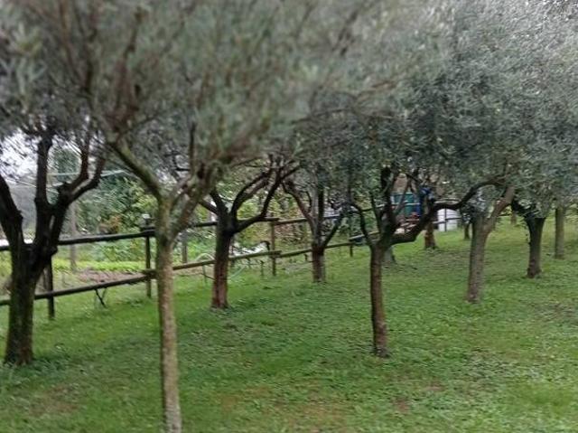 Casa indipendente in vendita a Treppo Grande UD