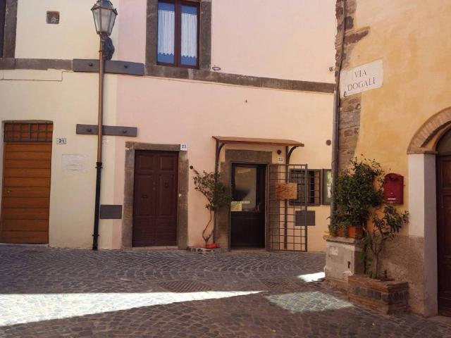 Casa indipendente in vendita a Trevignano Romano RM