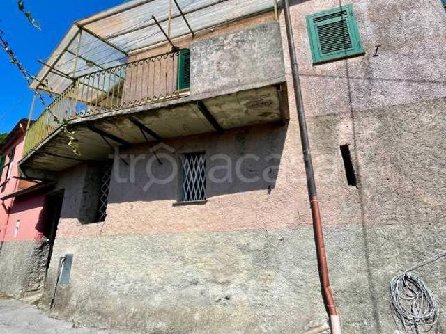 Casa indipendente in vendita a Tribogna via Piazze, 22