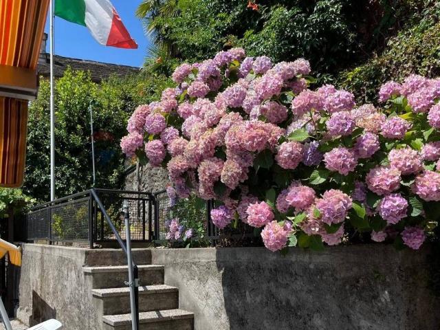 Casa indipendente in vendita a Valle Cannobina VB