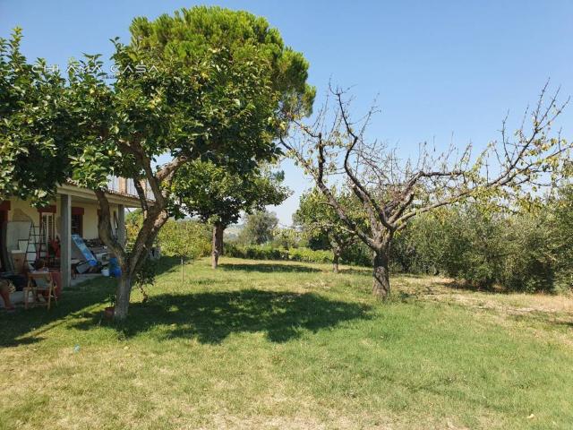 Casa indipendente in vendita a Vallefoglia PU