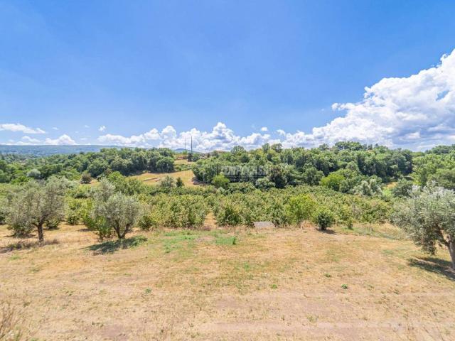 Casa indipendente in vendita a Viterbo VT