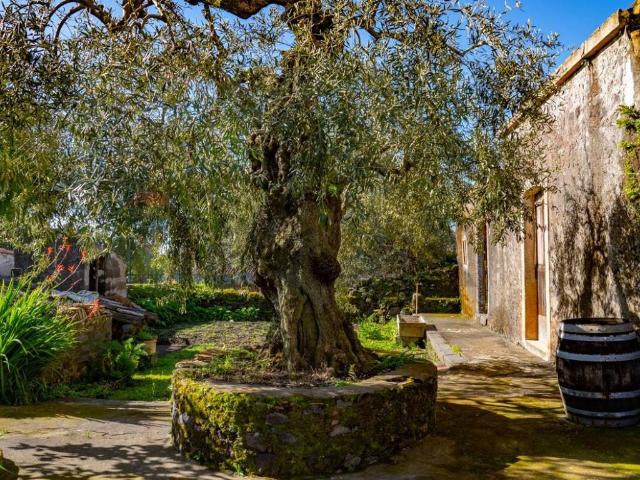 Casa indipendente in vendita a Viagrande CT