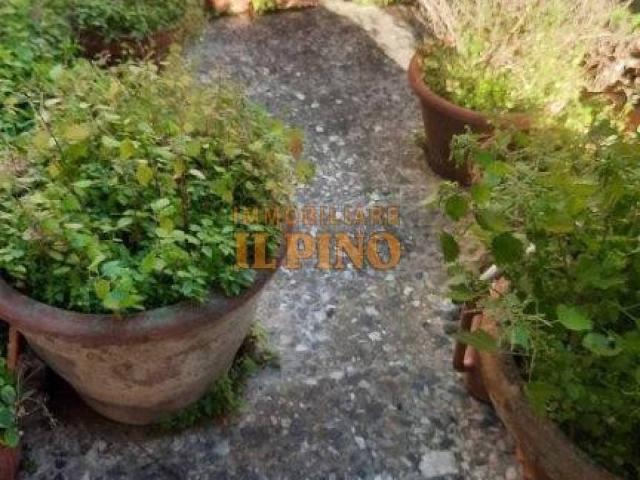 Casa indipendente in vendita a Vicopisano PI