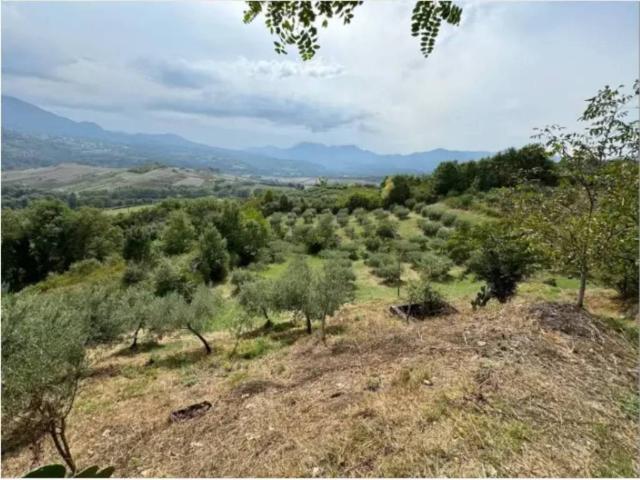 Casa indipendente in vendita a Viggianello PZ