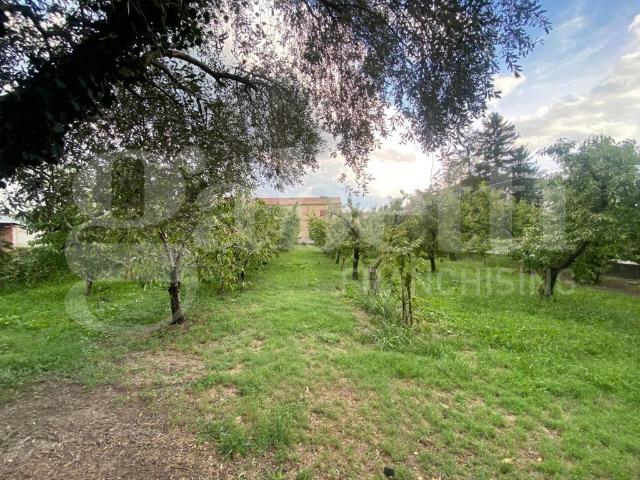 Casa indipendente in vendita a Vignola MO