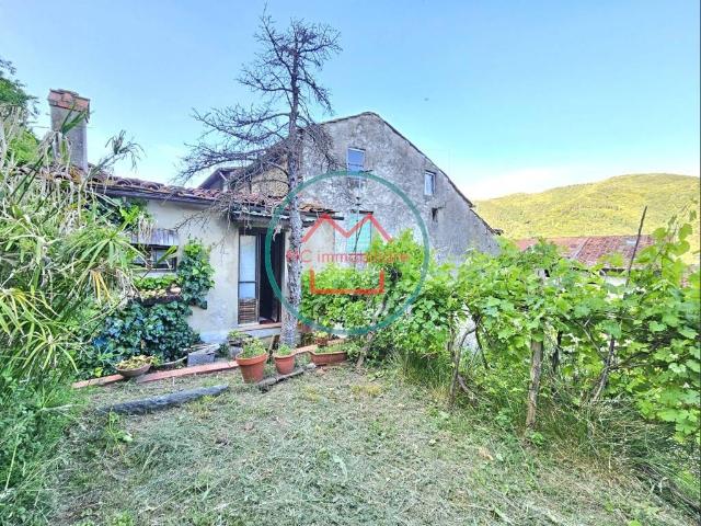 Casa indipendente in vendita a Villa Basilica LU