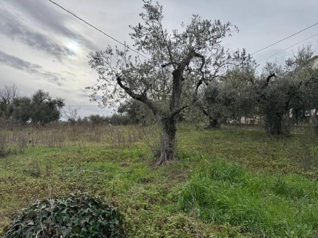 Casa indipendente in vendita a Villamagna CH