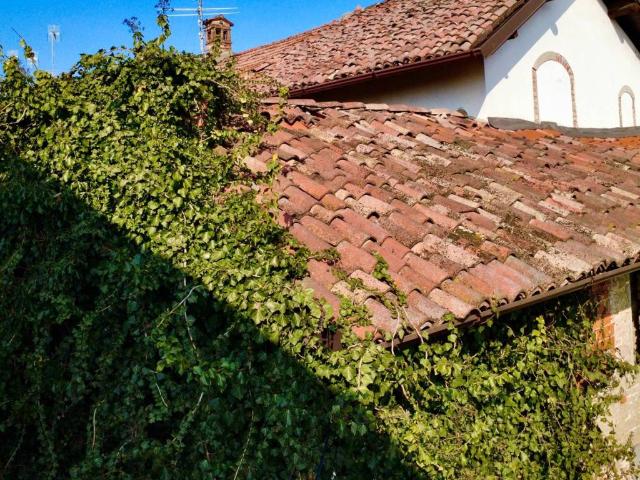 Casa indipendente in vendita a Villanterio PV