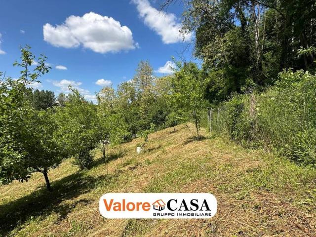 Casa indipendente in vendita a Visone AL