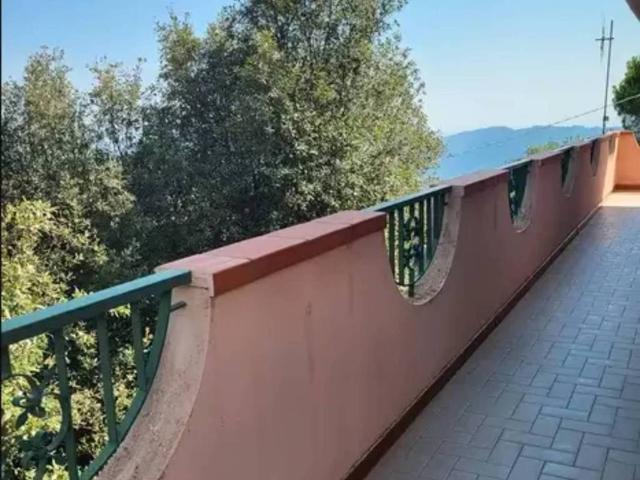 Casa indipendente in vendita a Zagarise CZ