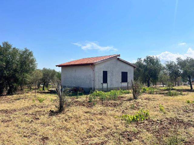 Casa indipendente in vendita a Zambrone VV