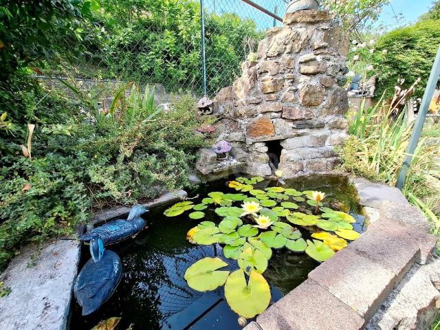 Casa indipendente in vendita ad Acqua, Lorsica
