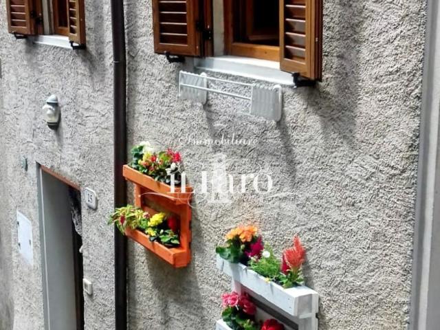 Casa indipendente in vendita, Camaiore casoli