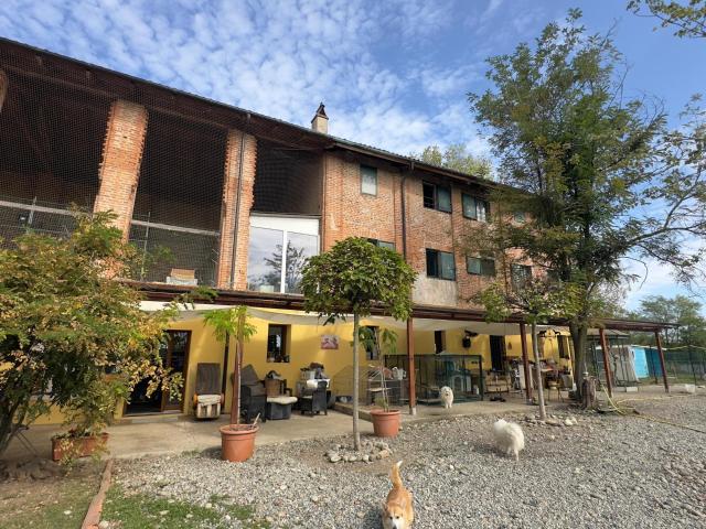 Casa indipendente in vendita in via umberto 1, Greggio