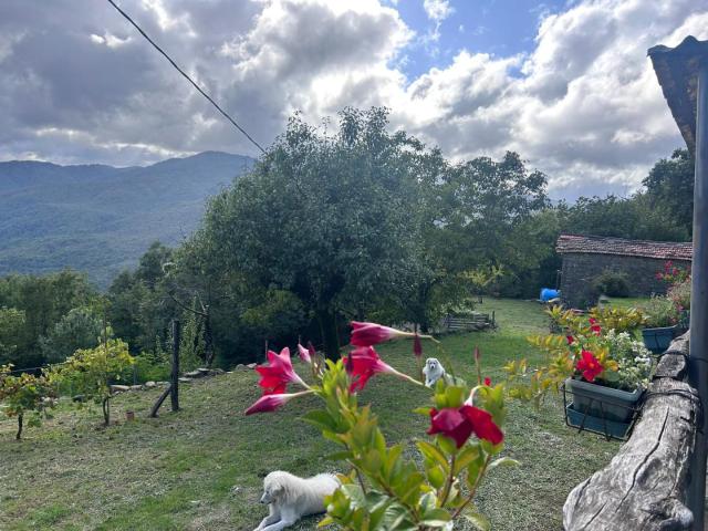 Casa indipendente in vendita, Pontremoli grondola