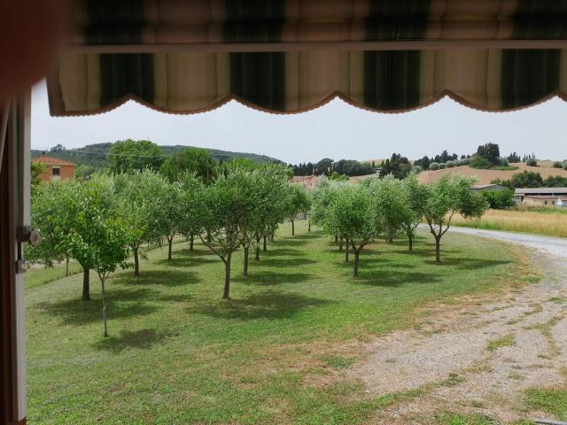 Casa indipendente in vendita, Rosignano Marittimo rosignano solvay