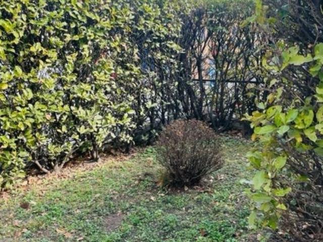 Casa Indipendente in affitto a Baveno via 42 martiri, non arredato/vuoto, giardino privato, posto auto TrovaCasa