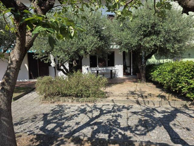 Casa indipendente in affitto a Gabiano AL