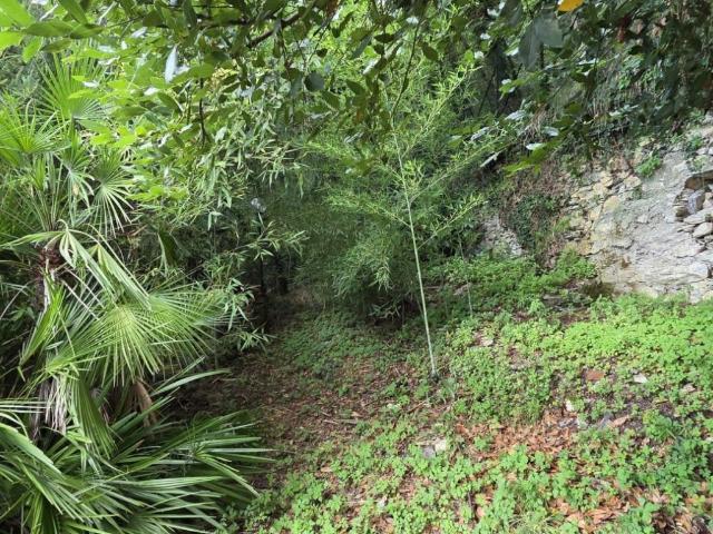 Casa Indipendente in affitto a Davagna via Meco, 50A, giardino privato, ultimo piano, buono stato TrovaCasa