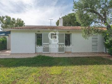 Ostuni, Brindisi Puglia, Puglia