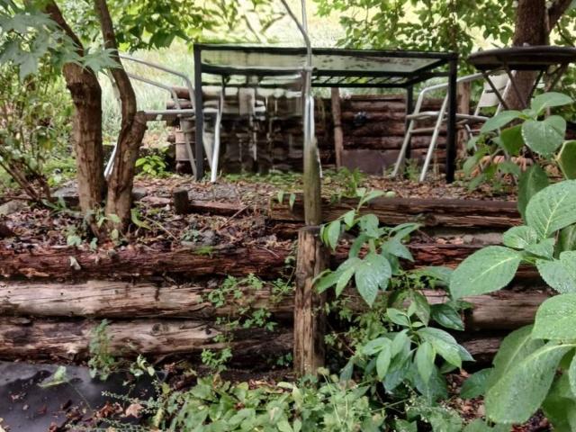 Casa indipendente in affitto a Lasnigo CO