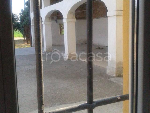 Casa Indipendente in affitto a Monticelli d'Ongina, posto auto coperto, doppi servizi TrovaCasa