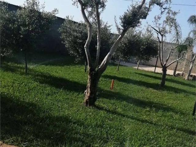 Casa indipendente in affitto a Mazara del Vallo TP